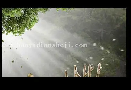 森林场景，合成女人与鹿梦幻森林场景教程_www.haoyidiansheji.com