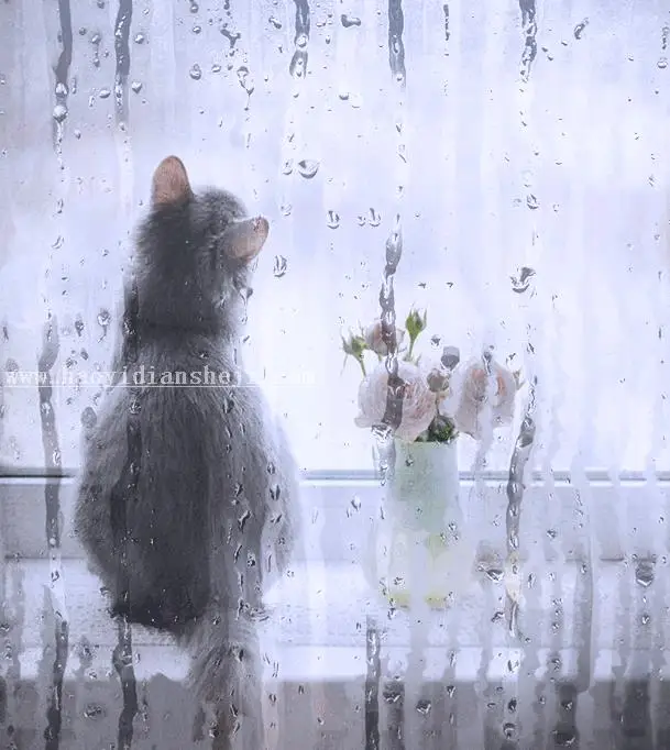 水雾效果，用PS制作逼真的下雨天玻璃水雾效果照片_www.haoyidiansheji.com
