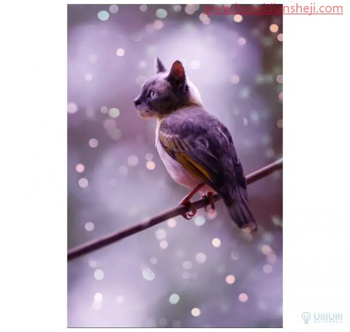 创意合成，在PS中制作长有猫头的猫头鹰_www.haoyidiansheji.com