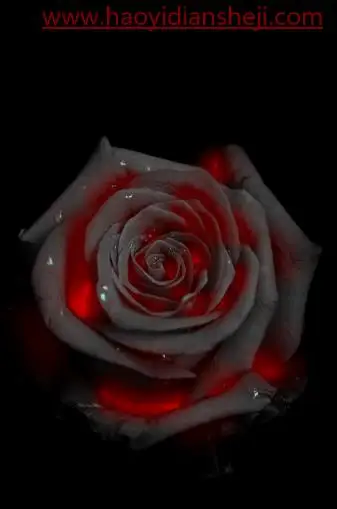 火焰效果，制作一款逼真的火焰效果玫瑰花_www.haoyidiansheji.com
