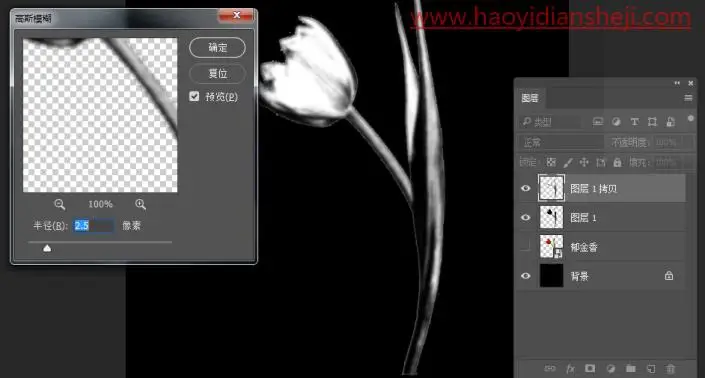 液态效果，在PS中制作一枝质感的液态花朵_www.haoyidiansheji.com