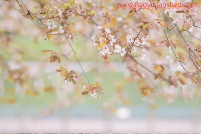 清新人像，快速调出日系樱花照片_www.haoyidiansheji.com