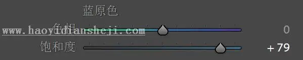 LR调色教程，通过LR调出港风效果照片_www.haoyidiansheji.com