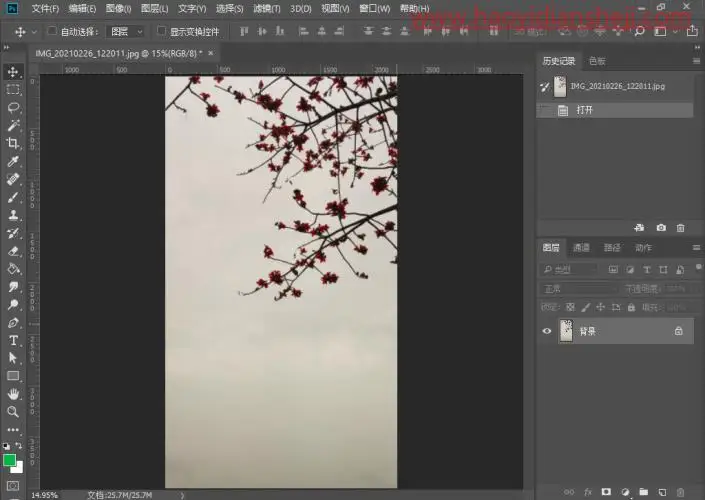 通道抠图，用通道抠出细小的花朵_www.haoyidiansheji.com