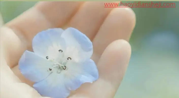 后期调色，通过PS打造莫奈温柔系色调的照片_www.haoyidiansheji.com
