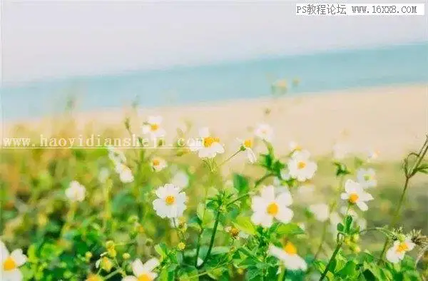 胶片色，用PS调出静物日系胶片效果_www.haoyidiansheji.com