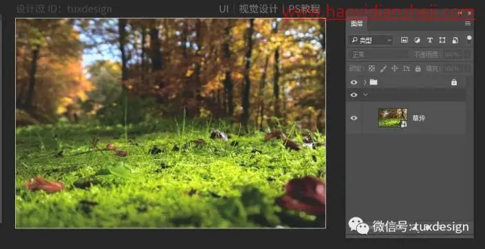 奇幻合成，制作小女孩和她的黑熊在森林里的奇幻场景_www.haoyidiansheji.com