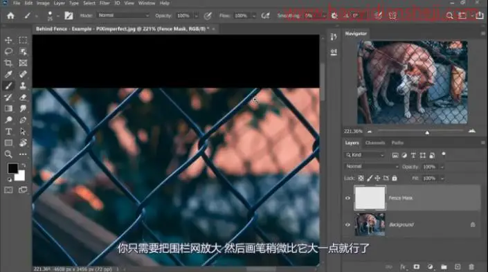 去网纹，快速高效的去除图中挡住动物的铁丝网_www.haoyidiansheji.com