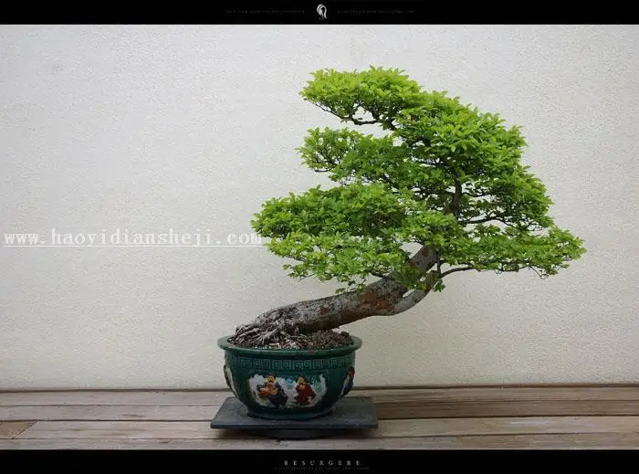 www.haoyidiansheji.com_041U02057-23.jpg