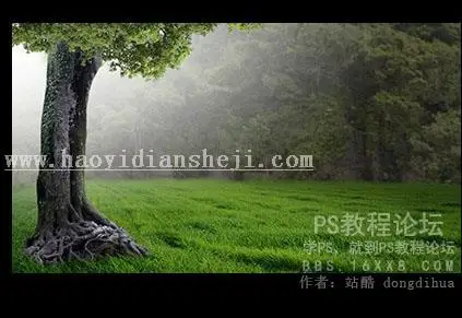 森林场景，合成女人与鹿梦幻森林场景教程_www.haoyidiansheji.com