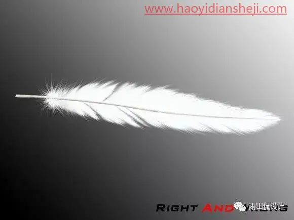 抠羽毛，PS绘制逼真的洁白羽毛_www.haoyidiansheji.com