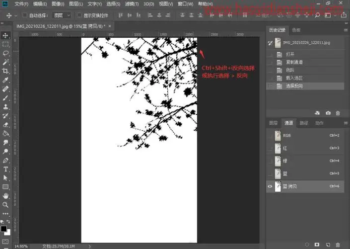 通道抠图，用通道抠出细小的花朵_www.haoyidiansheji.com