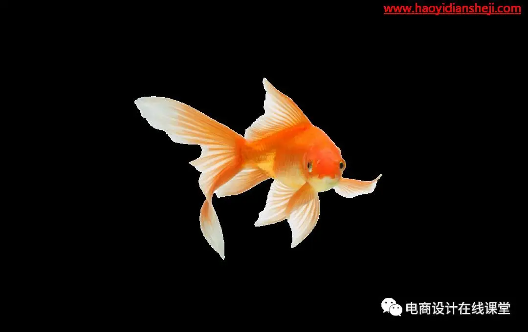 创意合成，在PS中合成一个西瓜皮鱼缸_www.haoyidiansheji.com