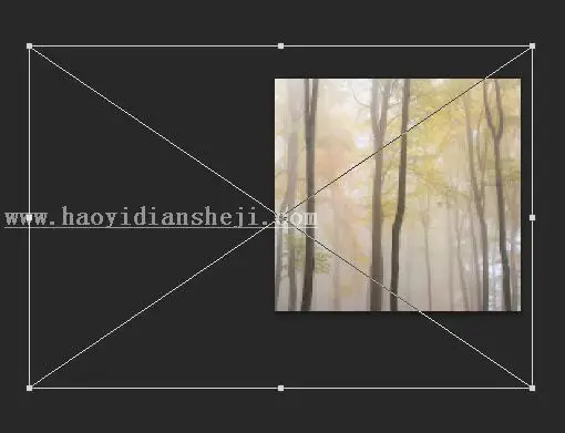 森林系，用PS给树林里拍摄的人像添加梦幻效果_www.haoyidiansheji.com