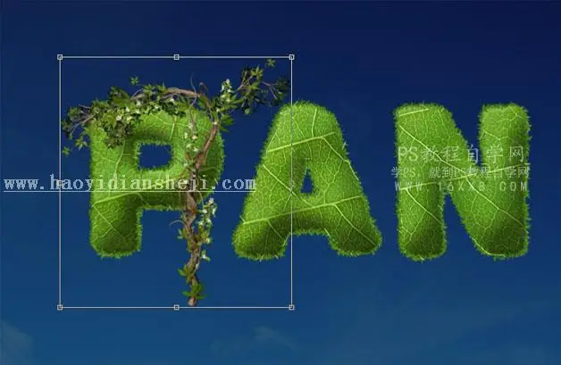树叶字，用PS制作3D立体效果的树叶字_www.haoyidiansheji.com