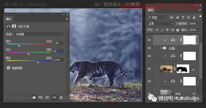 创意合成，通过PS合成一幅猫虎大战一触即发的场面_www.haoyidiansheji.com