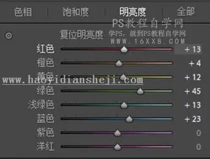 LR调色教程，通过LR给人像调出暗调森林系照片_www.haoyidiansheji.com