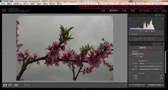 LR静物调色，用PS给静物风景照片调出更加丰富的颜色_www.haoyidiansheji.com