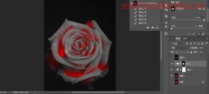 火焰效果，制作一款逼真的火焰效果玫瑰花_www.haoyidiansheji.com