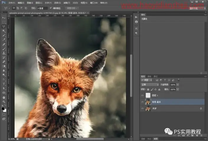 低多边形，把狗狗的图片制作成LOWPOLY低多边形效果_www.haoyidiansheji.com