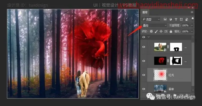创意合成，制作一条红鱼穿梭森林的奇幻照片_www.haoyidiansheji.com