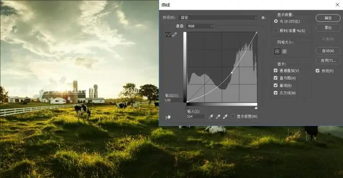 工具教程，曲线工具的使用技巧_www.haoyidiansheji.com