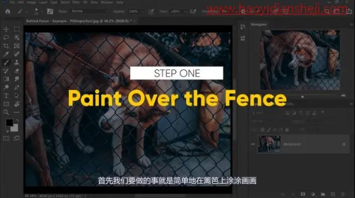 去网纹，快速高效的去除图中挡住动物的铁丝网_www.haoyidiansheji.com