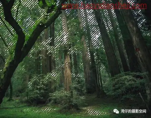 创意合成，制作在天上飞的大陆_www.haoyidiansheji.com