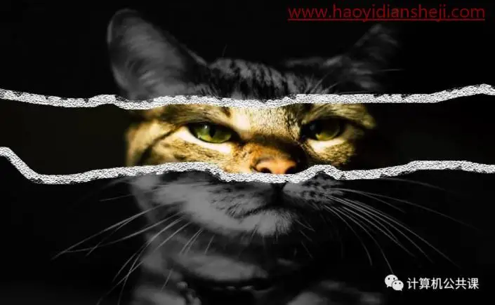 撕纸效果，在PS中给猫咪照片制作艺术的撕纸效果_www.haoyidiansheji.com