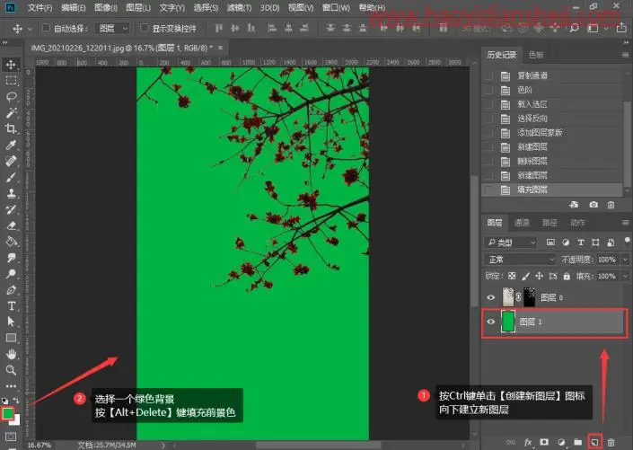 通道抠图，用通道抠出细小的花朵_www.haoyidiansheji.com