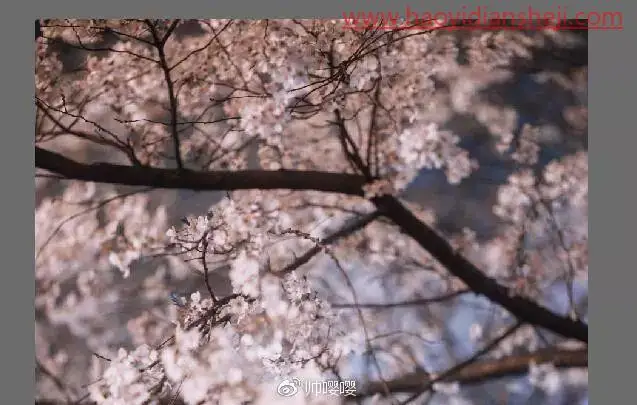 人物调色，用PS打造唯美的夜景樱花人像_www.haoyidiansheji.com
