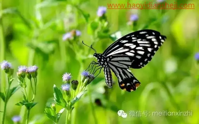 透明效果，制作透明和半透明的图片_www.haoyidiansheji.com
