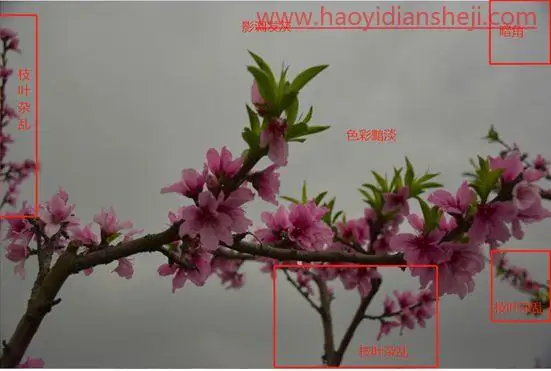 LR静物调色，用PS给静物风景照片调出更加丰富的颜色_www.haoyidiansheji.com
