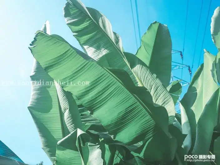 LR风景调色，调出夏天小清新照片的味道_www.haoyidiansheji.com