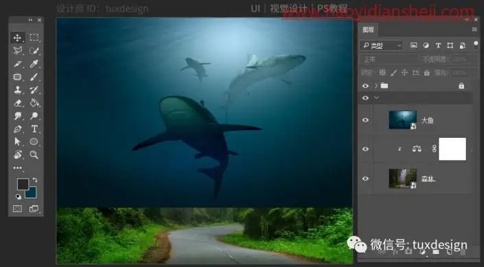 梦幻合成，通过PS让鱼嬉戏在森林间_www.haoyidiansheji.com
