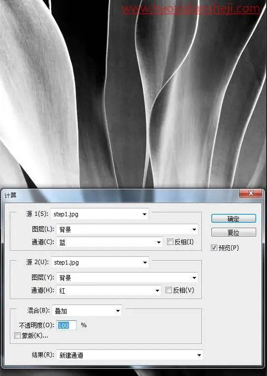 调色工具，通过PS中的计算工具给树叶调出另类的颜色_www.haoyidiansheji.com