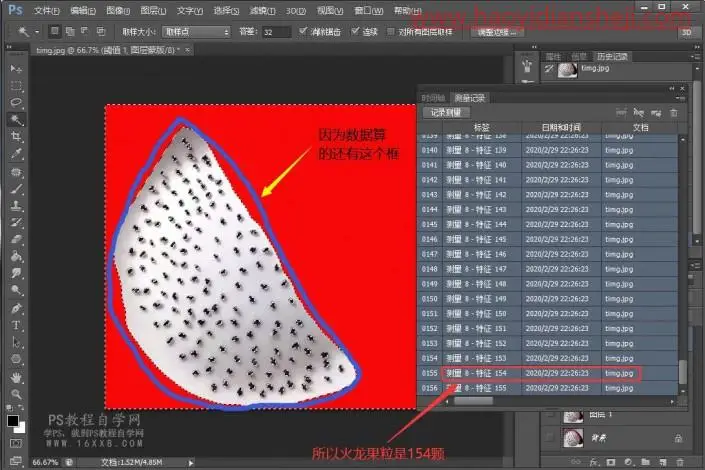 快速计算，用PS科学计算出图中的火龙果籽有多少颗_www.haoyidiansheji.com