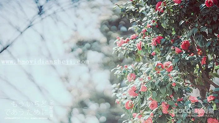 www.haoyidiansheji.com_022T62a0-2.jpg