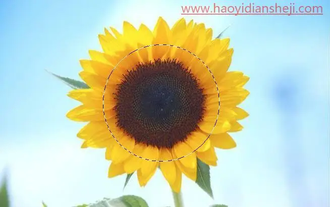 选区抠图，“选区的修改”命令相关的抠图原理及案例_www.haoyidiansheji.com