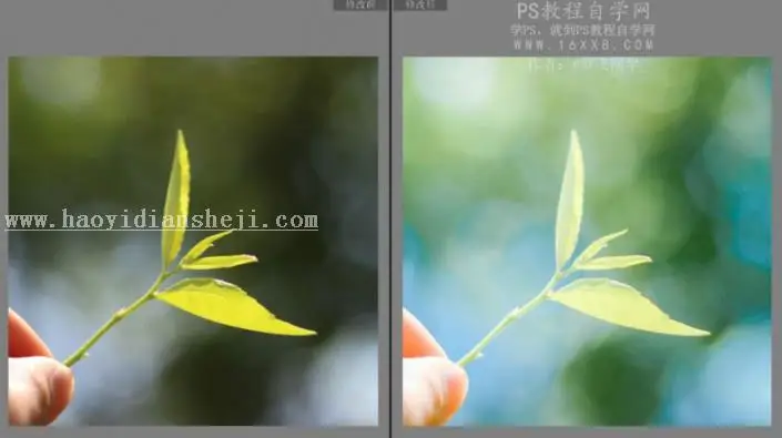 静物调色，调出夏日清新色彩野外风景照_www.haoyidiansheji.com