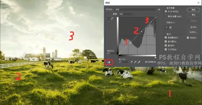 工具教程，曲线工具进阶教程_www.haoyidiansheji.com