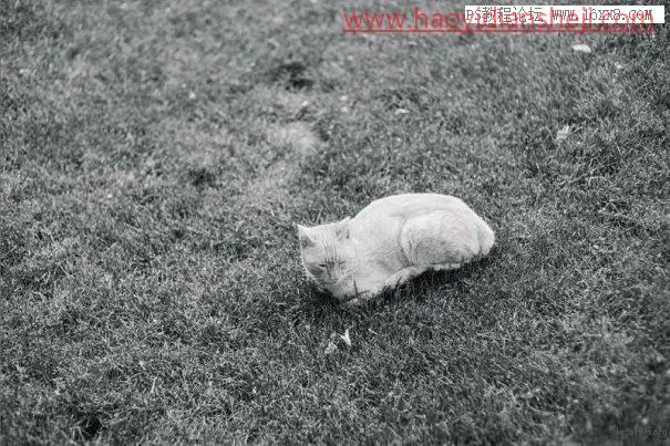 黑白效果，用专业的PS做专业的黑白效果照片_www.haoyidiansheji.com