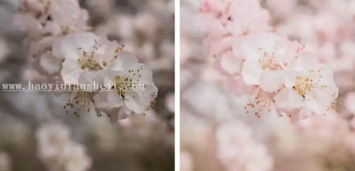 植物调色，铃兰花调色实例_www.haoyidiansheji.com