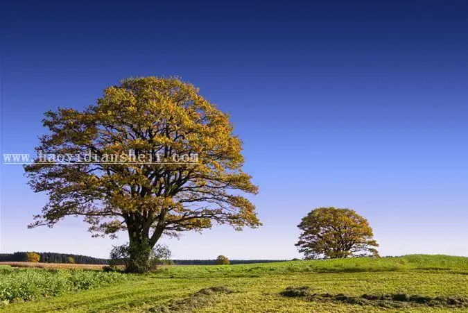 背景橡皮擦，用背景橡皮擦教你换风景照背景_www.haoyidiansheji.com
