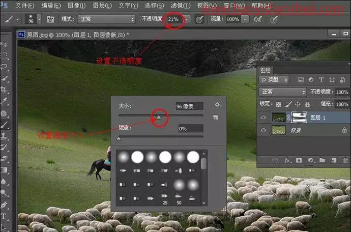 风光照片，在PS中制作光影气氛浓厚的草原风光大片_www.haoyidiansheji.com
