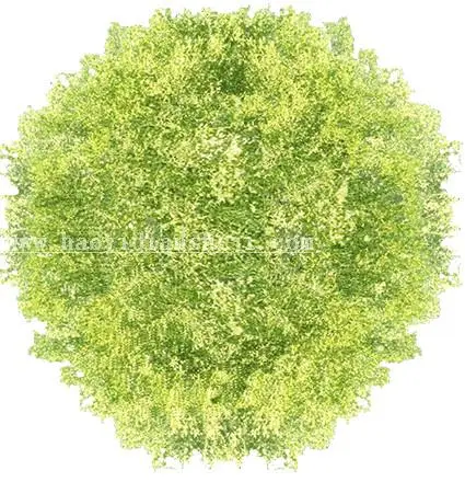 平面图，利用画笔工具快速画平面图中的树草_www.haoyidiansheji.com