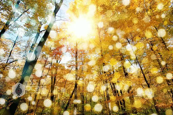 光照效果，给照片添加散景和光照效果_www.haoyidiansheji.com