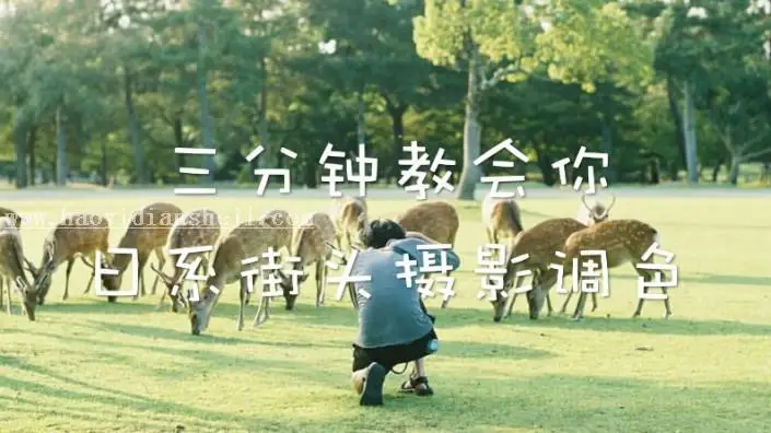 日系色，三分钟教会你日系街景调色_www.haoyidiansheji.com