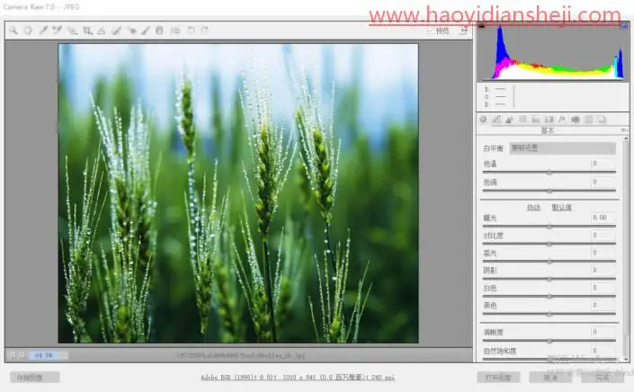 换颜色，把青色的小麦调成成熟的金黄小麦_www.haoyidiansheji.com