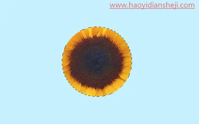 选区抠图，“选区的修改”命令相关的抠图原理及案例_www.haoyidiansheji.com